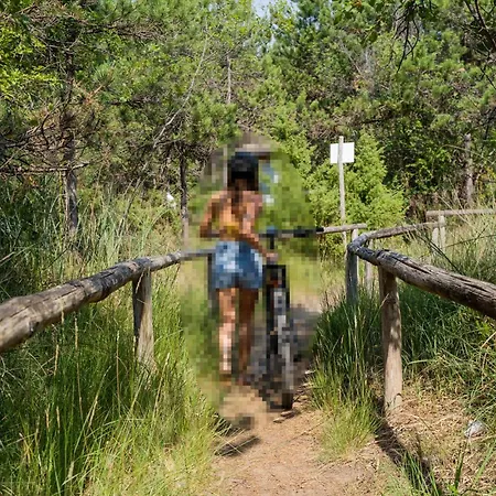 2 Bedroom Gorgeous In דירה ביביונה